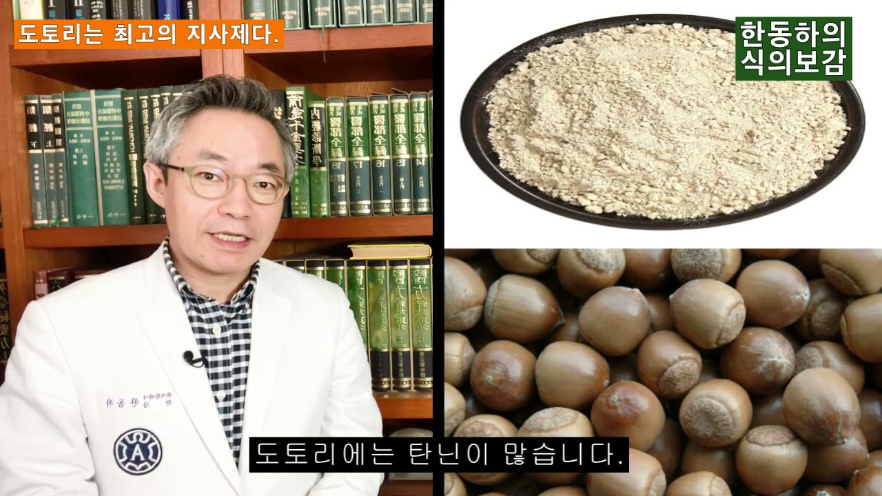 도토리는 설사 잡는 최고의 지사제다. - 한동하의 식의보감
