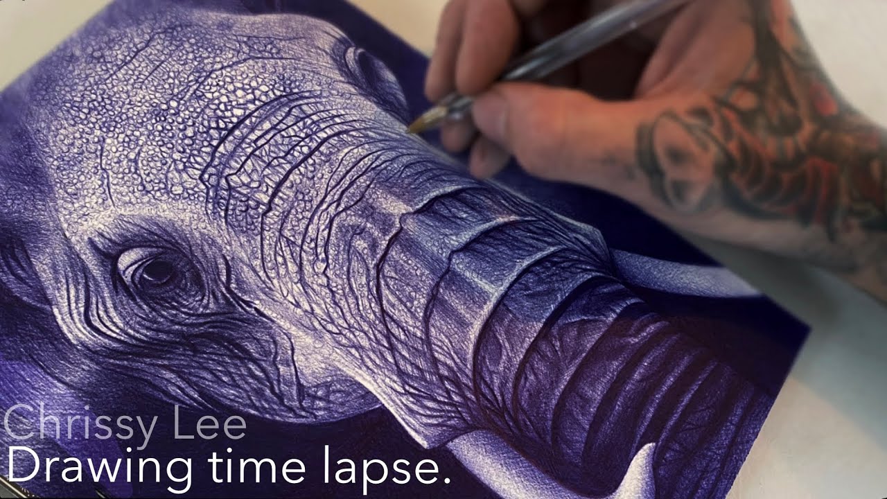BIRO ELEPHANT DRAWING | TIME LAPSE | CHRISSY LEE