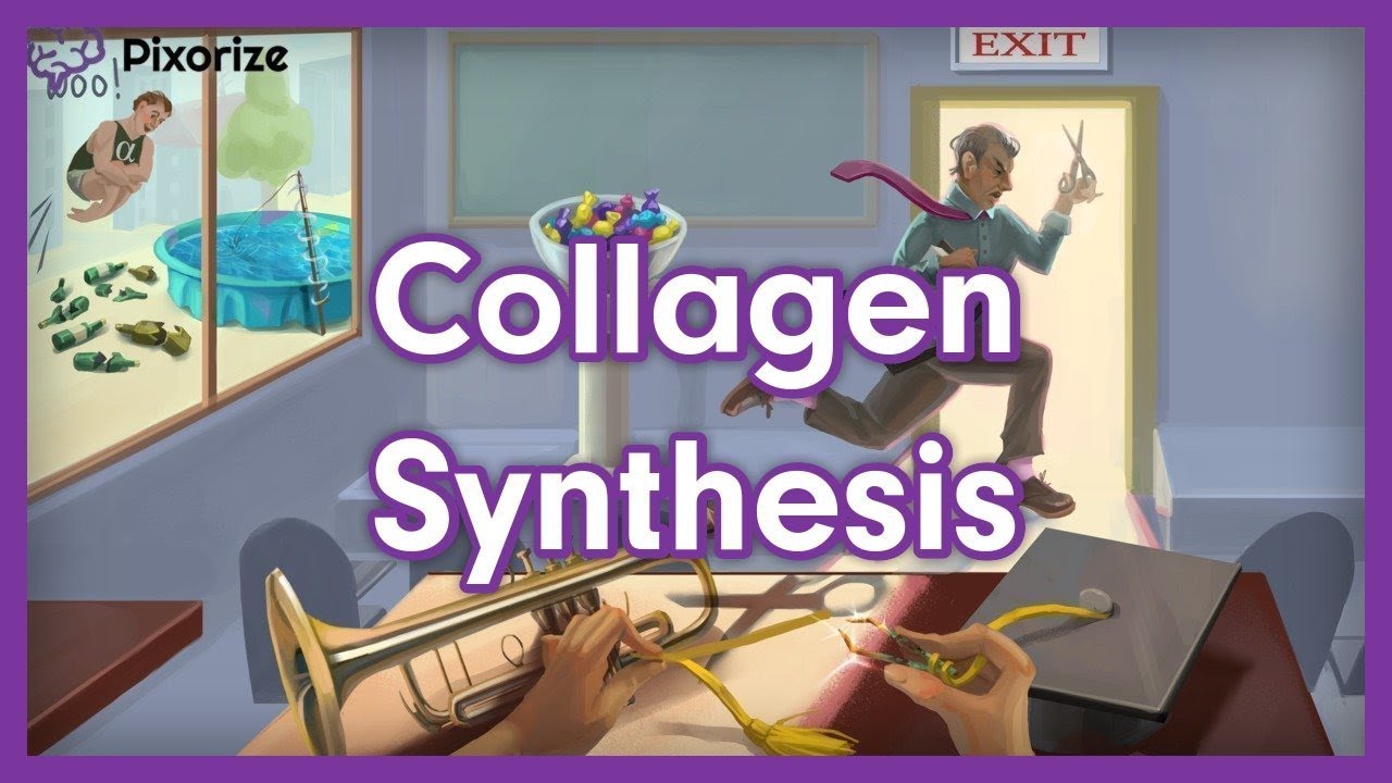 Collagen Synthesis USMLE Mnemonic Preview