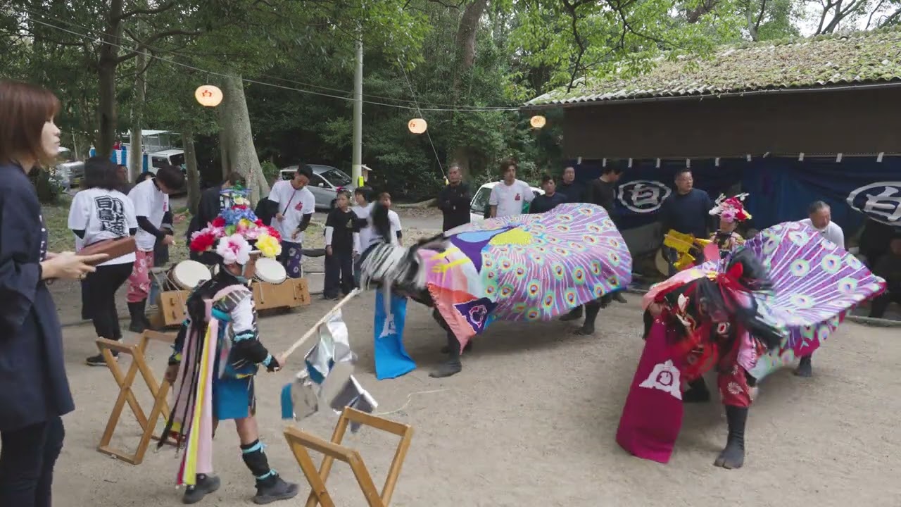 2023/10/8 白鳥神社　秋季大祭　一支部獅子保存会