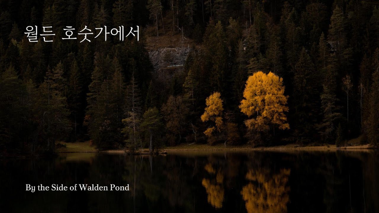 [playlist] 월든 호숫가에서 ★ pov: By the Side of Walden Pond (reading, relaxation, studying)