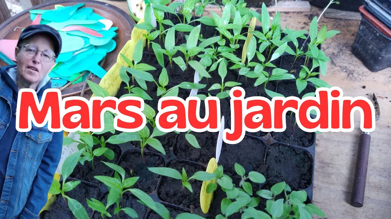 Les Travaux et Semis de Mars au Potager Urbain en Permaculture