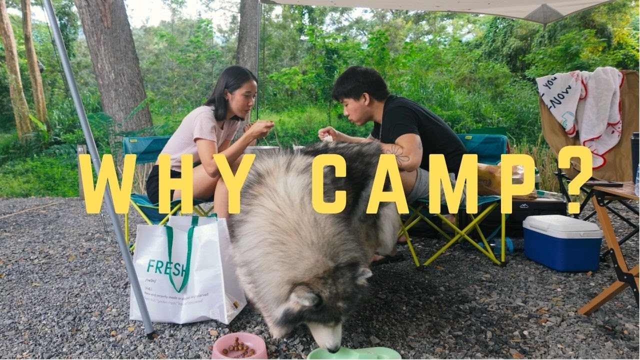 ทำไมต้องมาแคมป์ให้ลำบาก? l 📍 Hooga Camping in the Woods