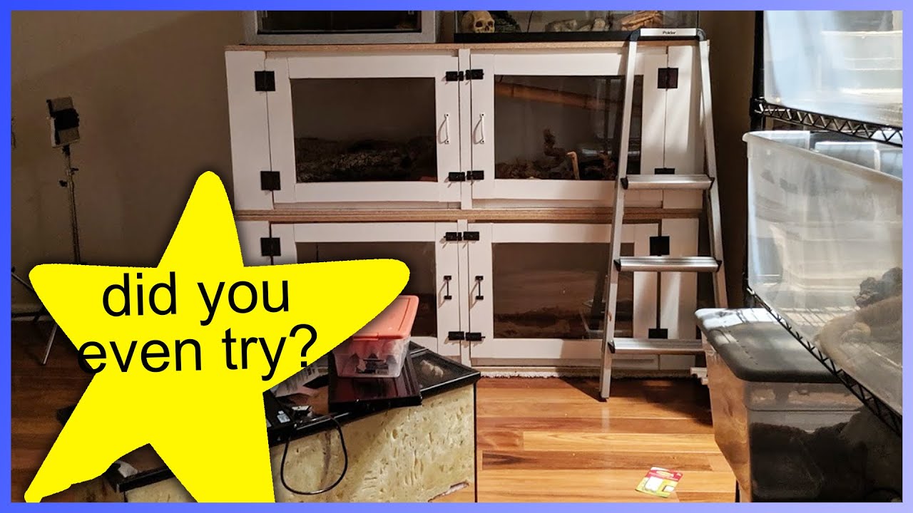 Rating Your Shameful Reptile Room Setups - #4