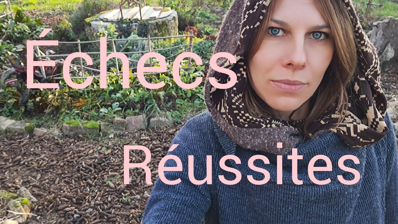 Echecs et réussites ! potager de décembre.