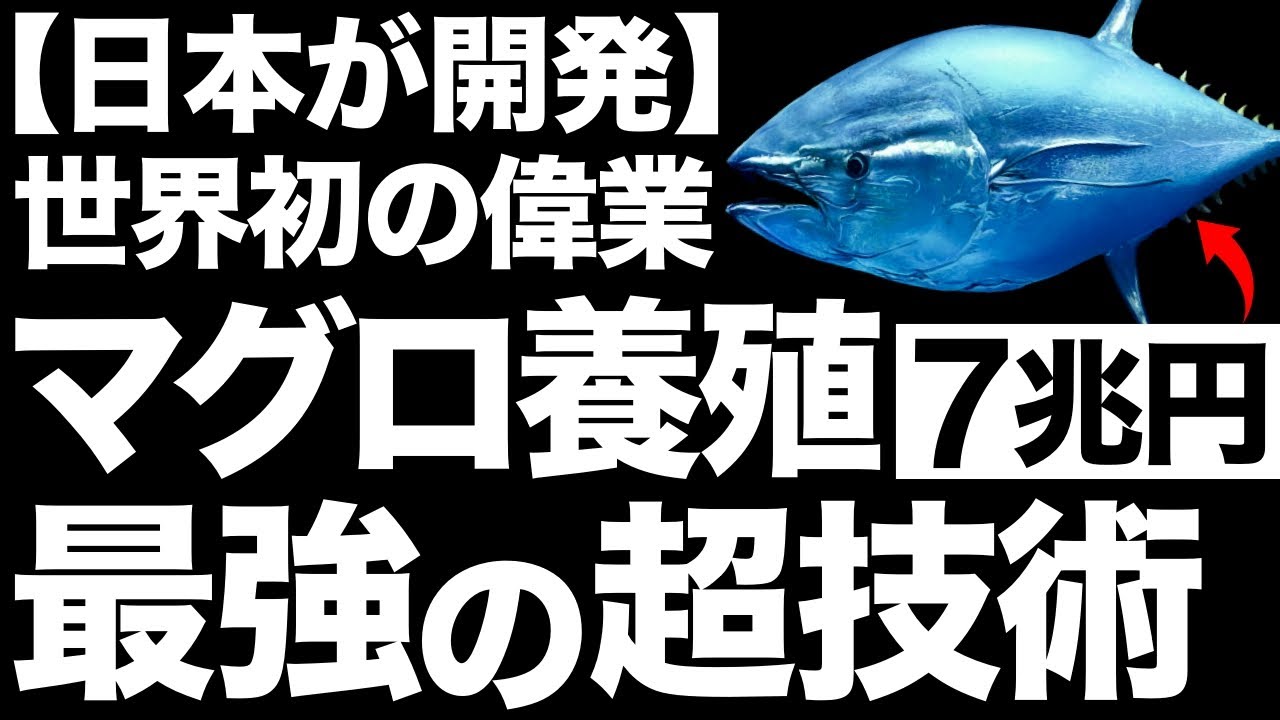 【衝撃】近畿大学が開発した「完全養殖マグロ」に世界が震えた！