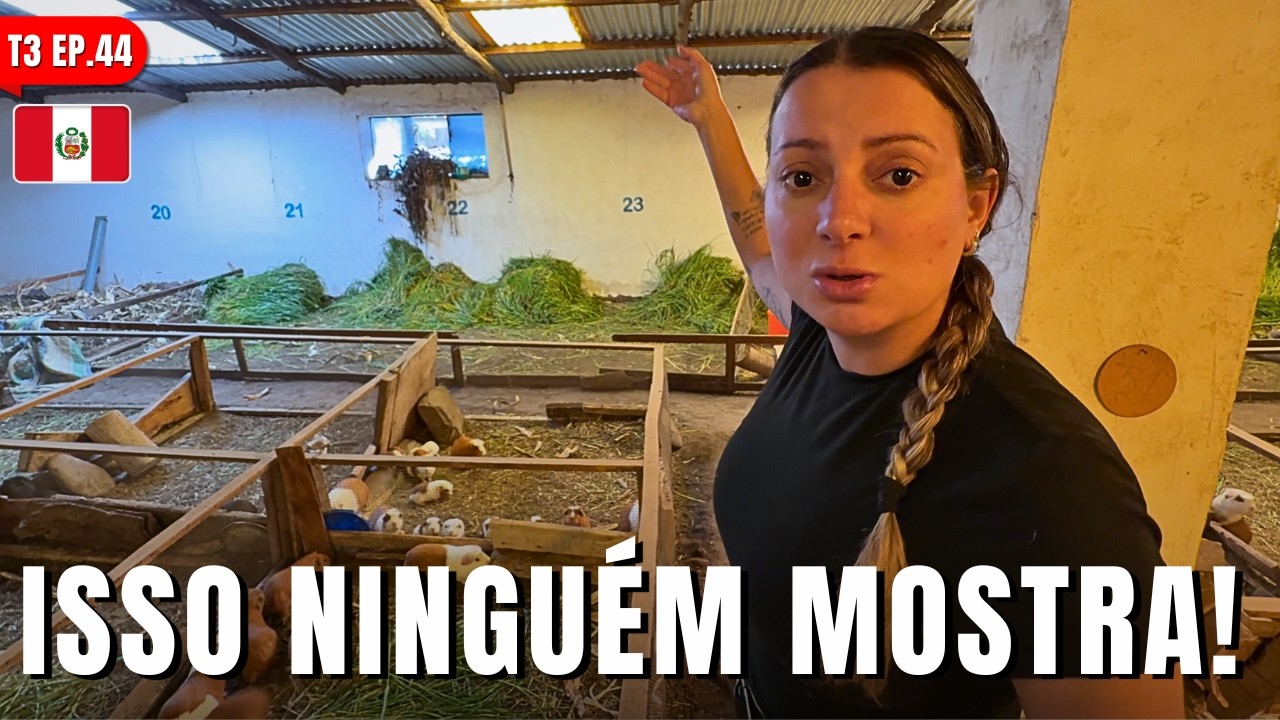 Vivendo experiências autênticas no Peru de Kombi - T3 Ep. 44