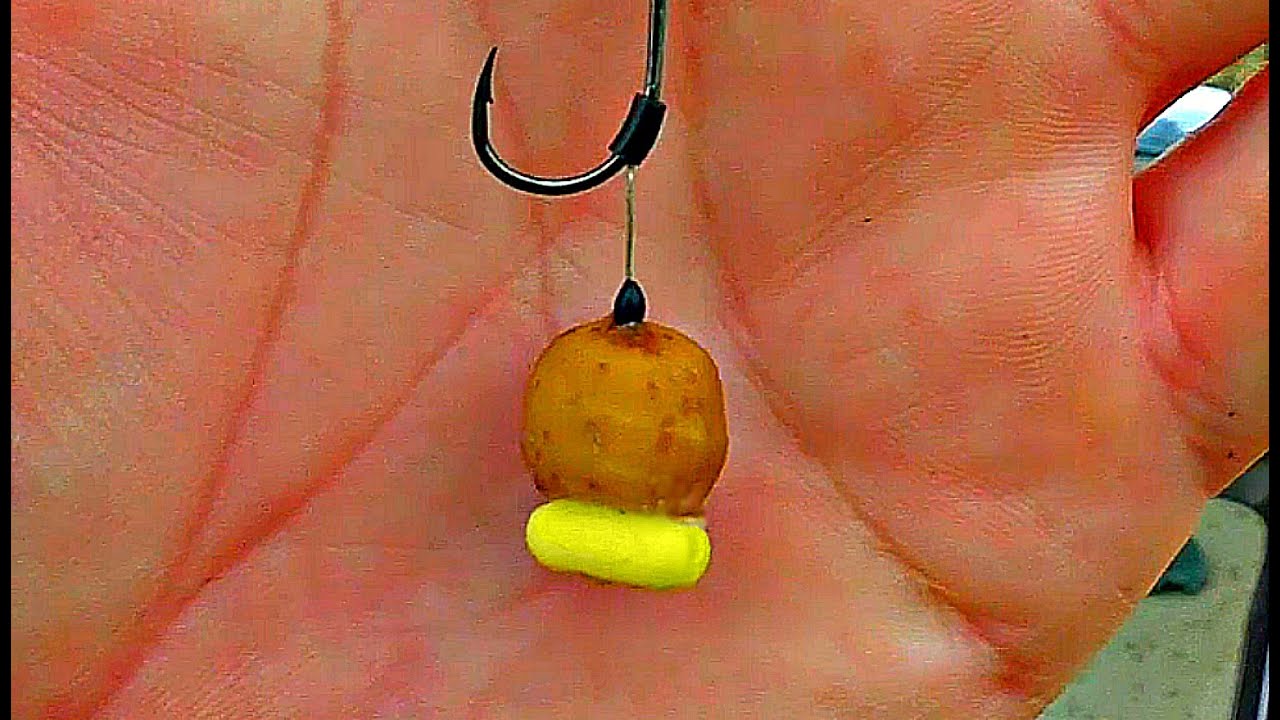 Лучшая презентация «Тигрового ореха» для карповой ловли