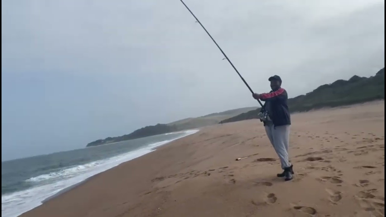 Beemz 1st grey at blythdale beach 🎣  and some Fresh baits from PRO TEAM ANGLING 