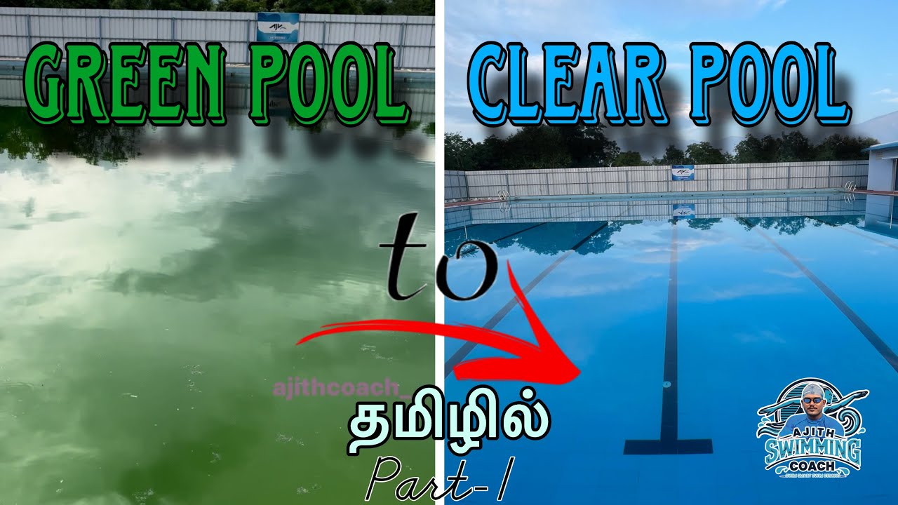How to clean swimming pool | Green to blue | Tamil | Ajith swimming coach explain