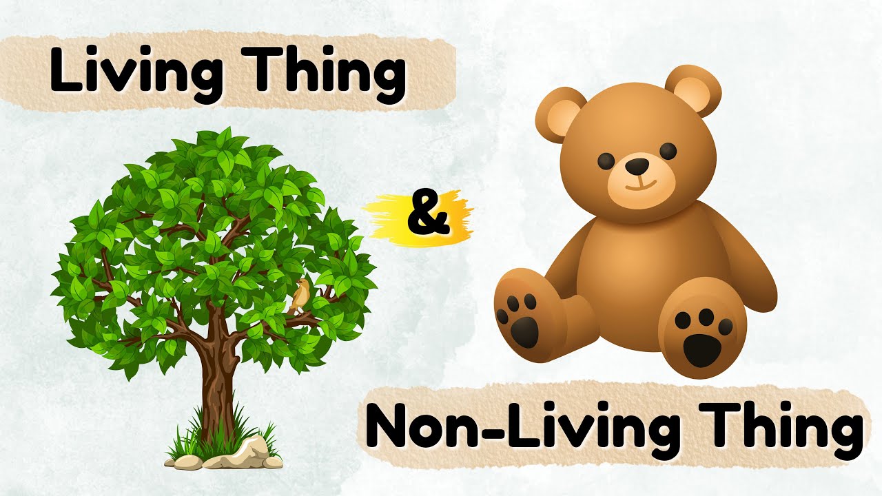 Living & Non Living Things Learn Song For Kids | Nersery Rhyme | Educational Video Song By LOLO KIDS