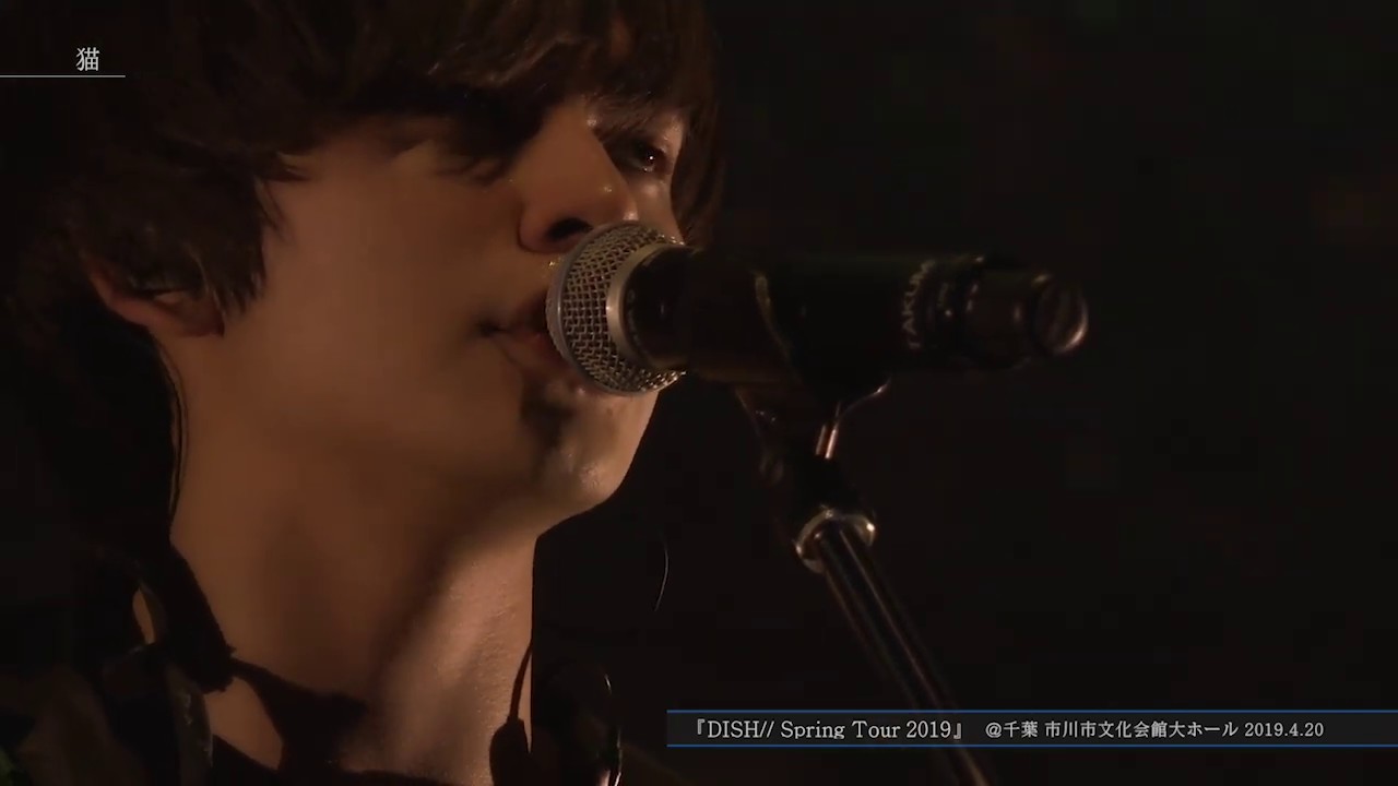 DISH// - 猫 / 僕たちがやりました / 勝手にMY SOUL [Official Live Digest]