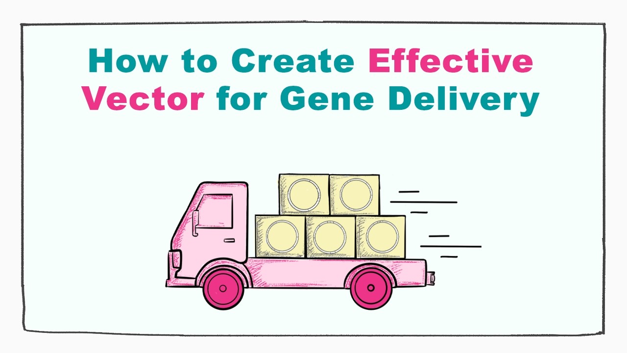 How to Create Effective Vectors for Gene Delivery