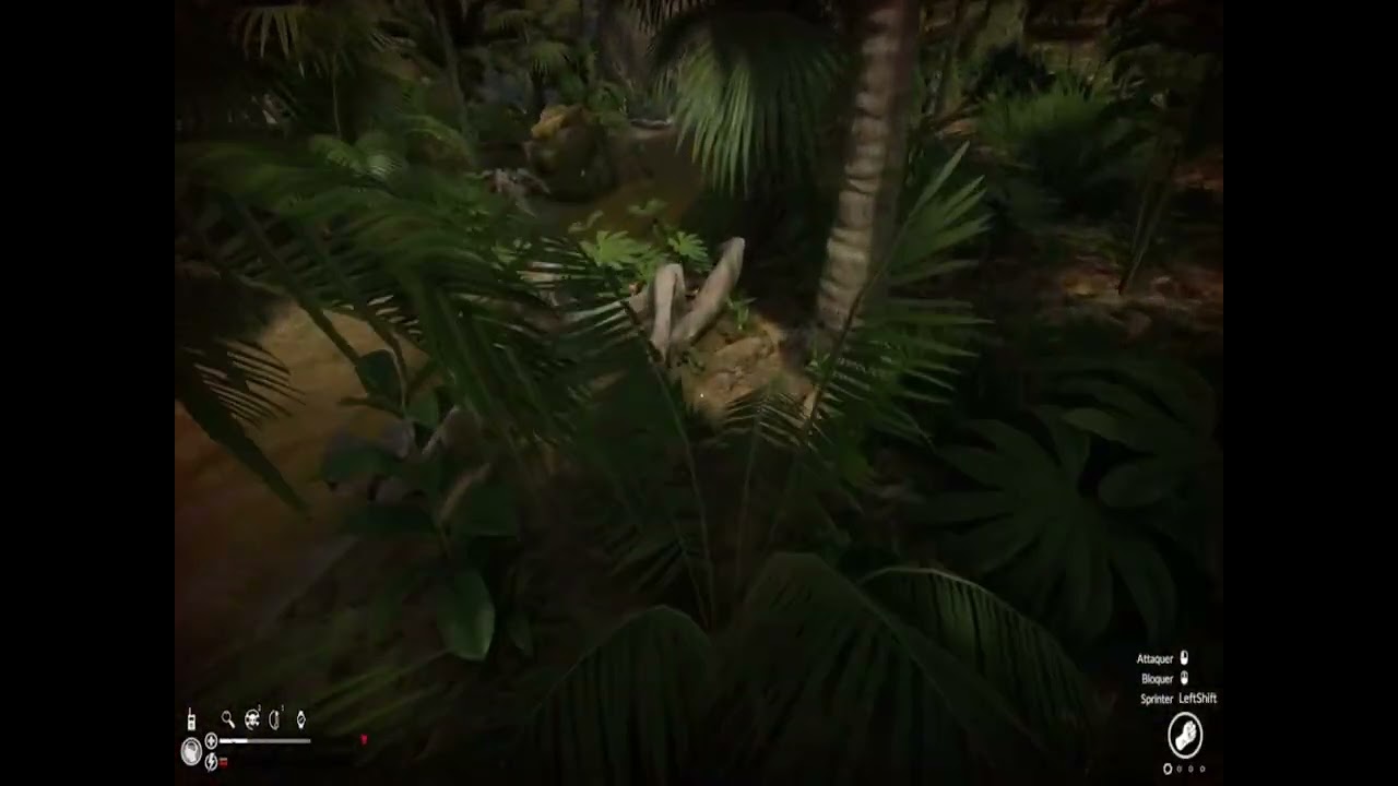 Les Protecteurs dans la jungle !