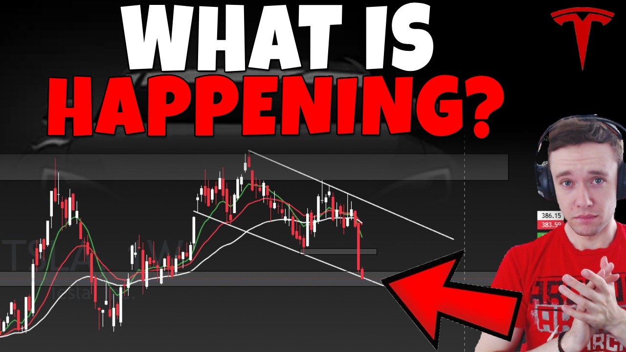 Технический анализ акций TSLA, SPCX, PLTR, HOOD, MU, SNDK, NBIS