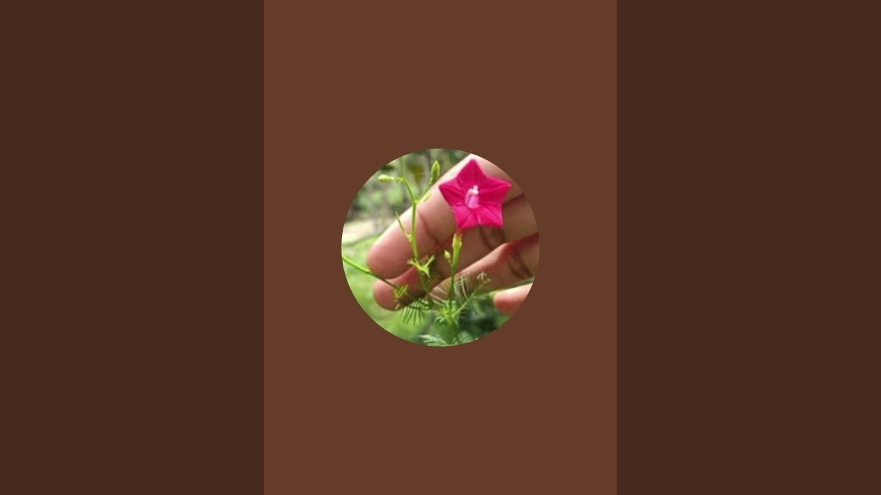 shunmuga sk பக்திமயம் is live