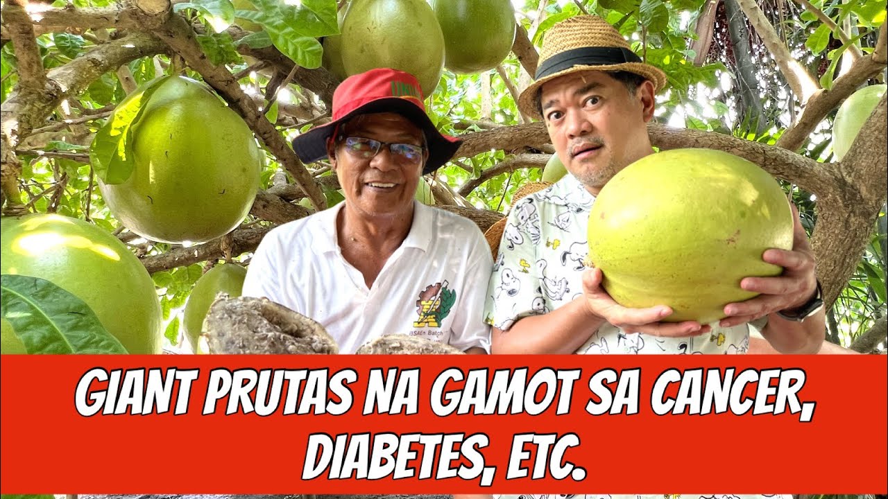 MIRACLE FRUIT : GAMOT SA CANCER, DIABETES AT IBA PA? + MIRACLE FERTILIZER PARA SA MGA HALAMAN