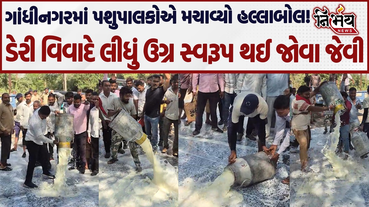 Gandhinagar માં પશુપાલકોએ મચાવ્યો હલ્લાબોલ! જુઓ દૂધ ઢોળી નોંધાવ્યો ઉગ્ર વિરોધ...| Nirbhay|