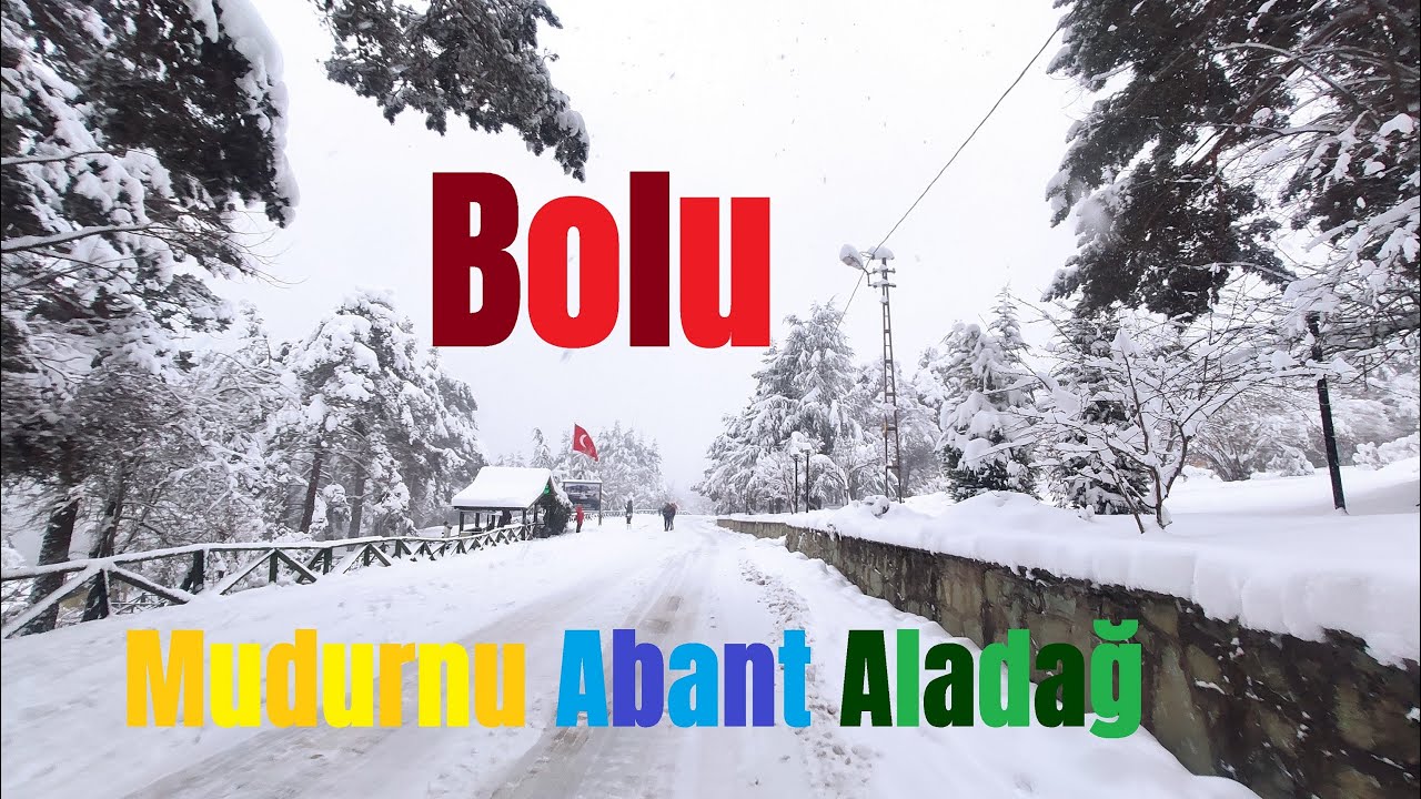 Bolu - Mudurnu-Abant - Aladağ Orman Tesisleri Dağ Evleri---97