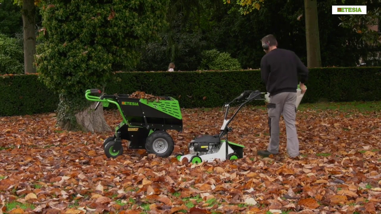 Etesia PRO 46 PHTS3 Pedestrian Mower in Action