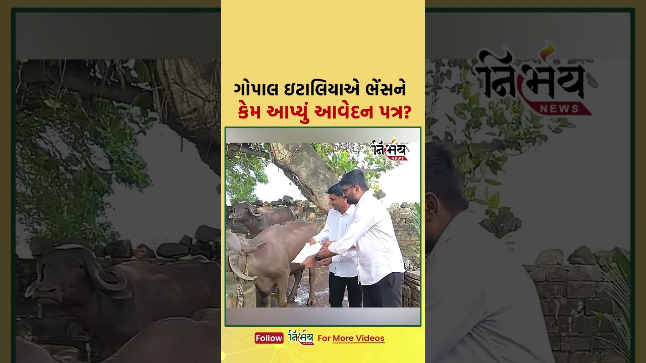 Gopal Italia એ ભેંસને કેમ આપ્યું આવેદન પત્ર? | Nirbhay news