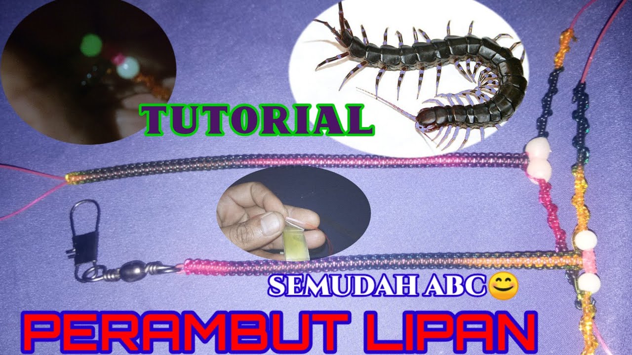 Cara membuat perambut bottom/perambut lipan