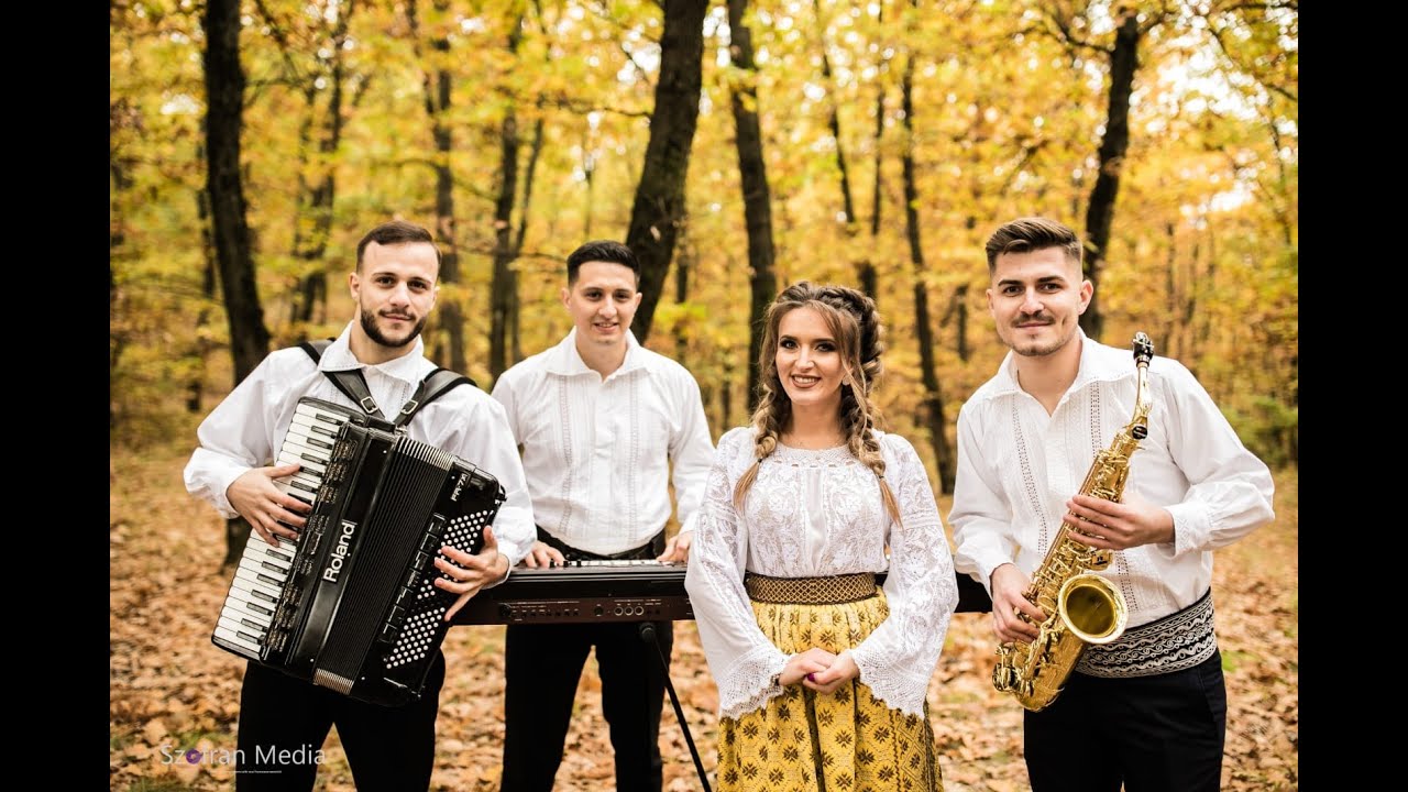 Ana Maria Oprisan si Formatia - Colaj Mehedinti (Cover Niculina Stoican)