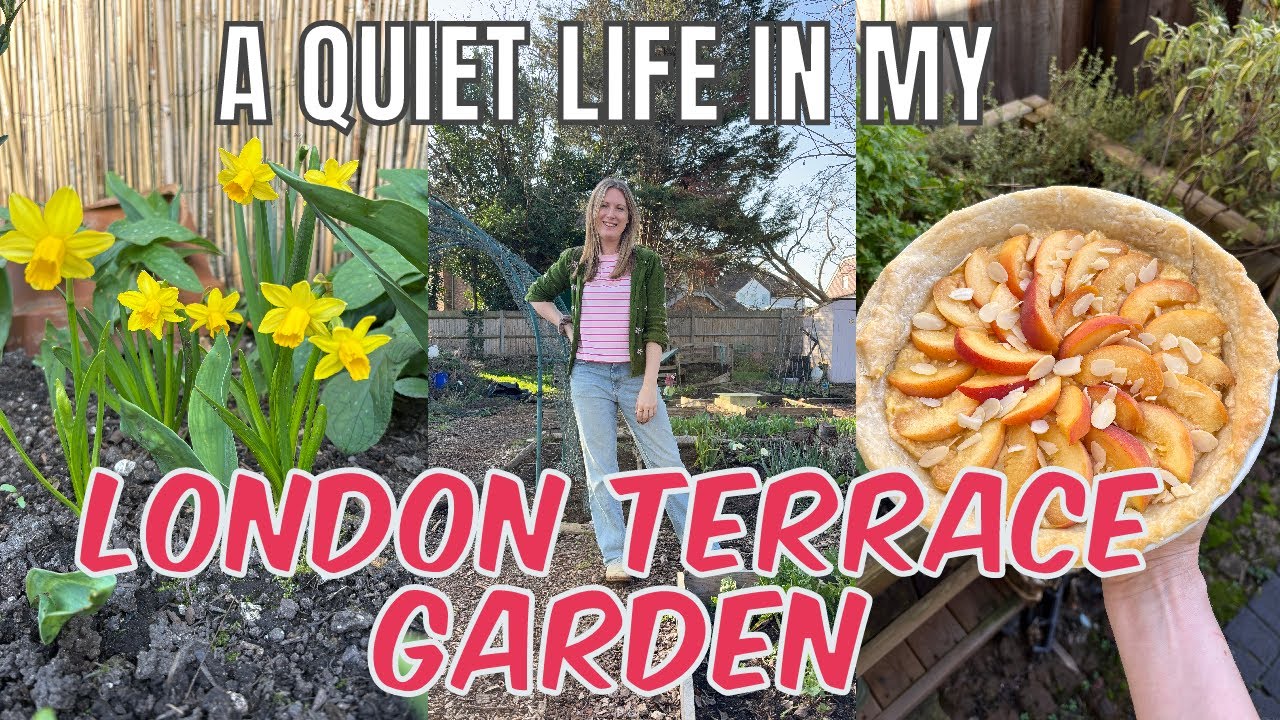 GARDENING, SUNNY DAYS AND BAKING EXPERIMENTS / LIFE IN MY SMALL LONDON GARDEN