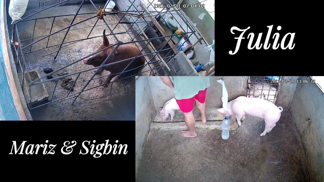 182 days old (Julia).                                                  101 days old (Sigbin & Mariz)