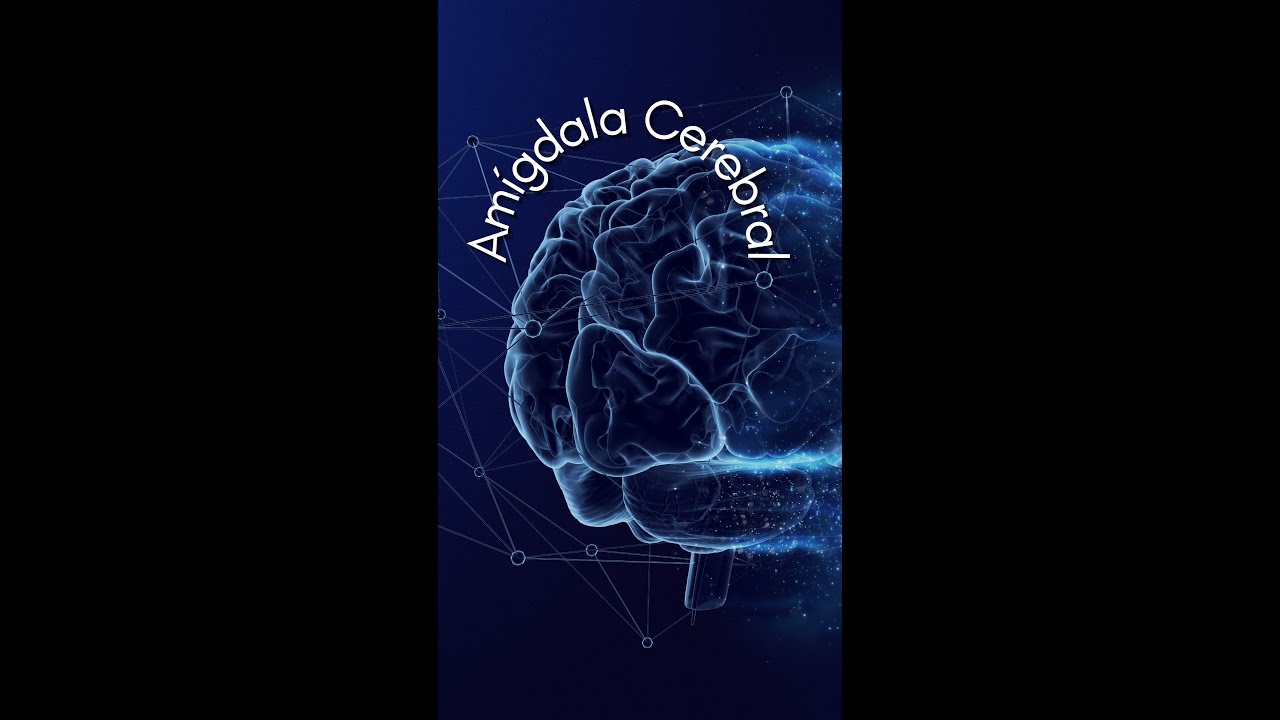 AM&Iacute;GADALA CEREBRAL #shorts