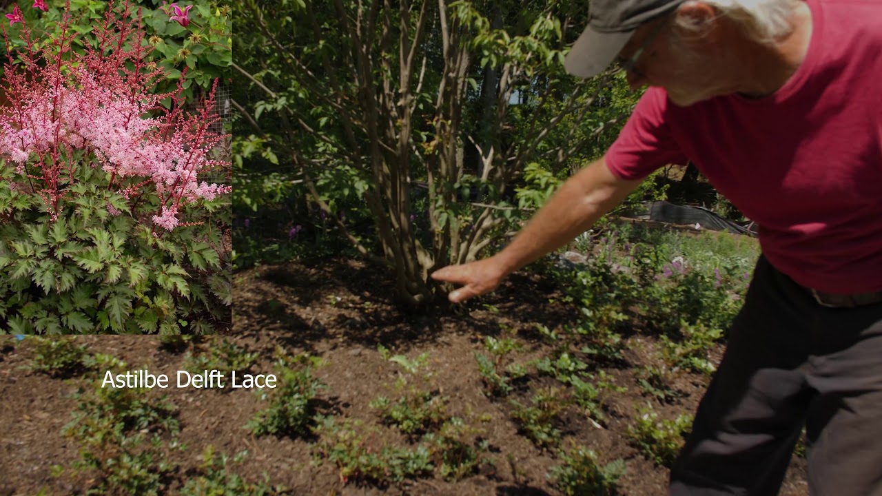 INSTALLING A PIET OUDOLF GARDEN, PART 3  Episode #53