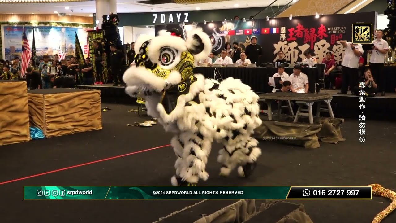 Paris Lion Sport Association 🇫🇷 巴黎振威堂龍獅團
