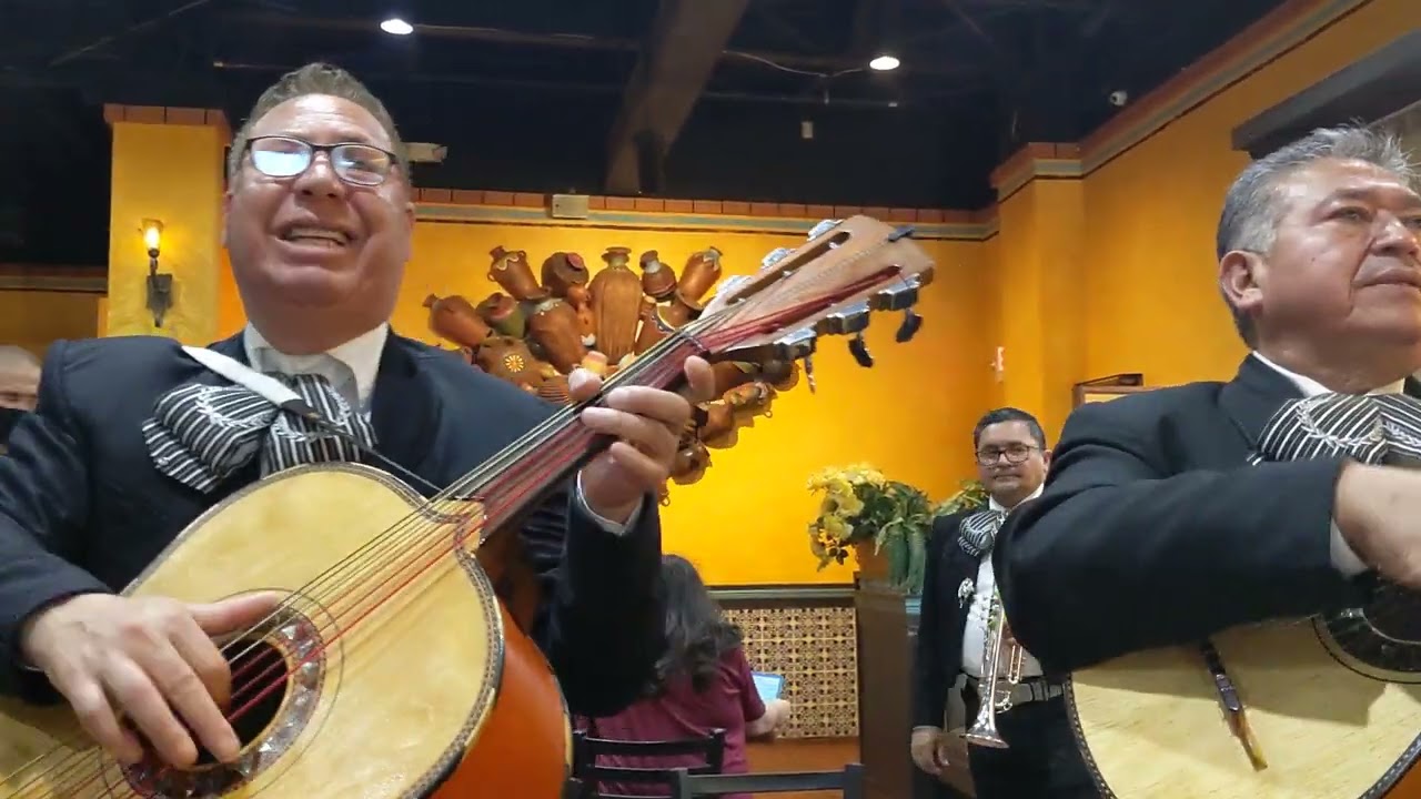 Flor de Capomo - Mariachi Emperadores De Mexico: Galveston 1 (5-3-2023) @SalsasRestaurant