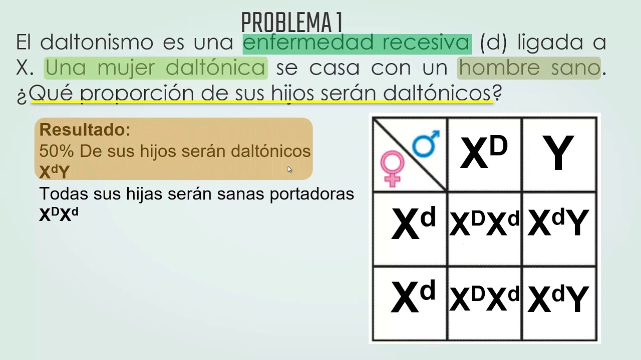 PROBLEMAS DE HERENCIA LIGADA AL SEXO