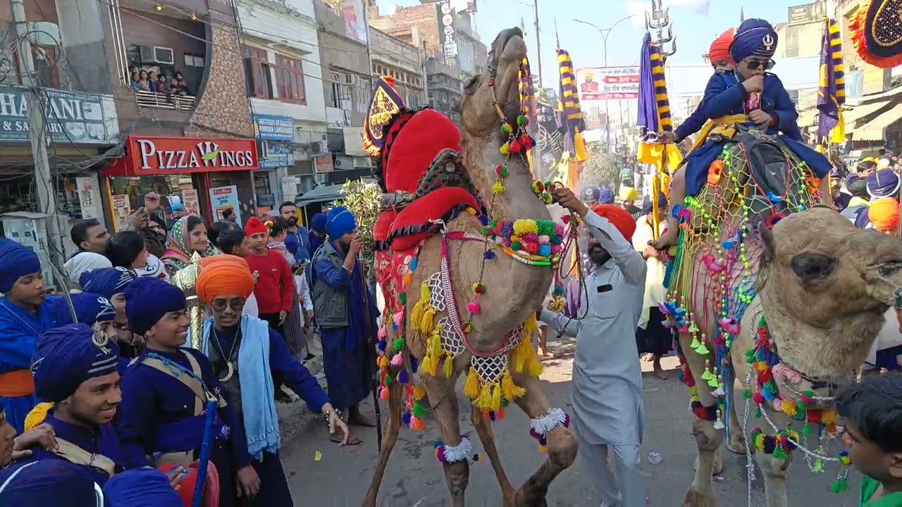 baba deep singh ji birthday celebrations#camel dance#nihang singh#amritsar#youtube