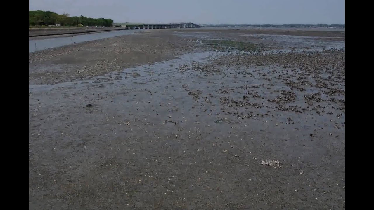 Time Lapse of Tidal Flat