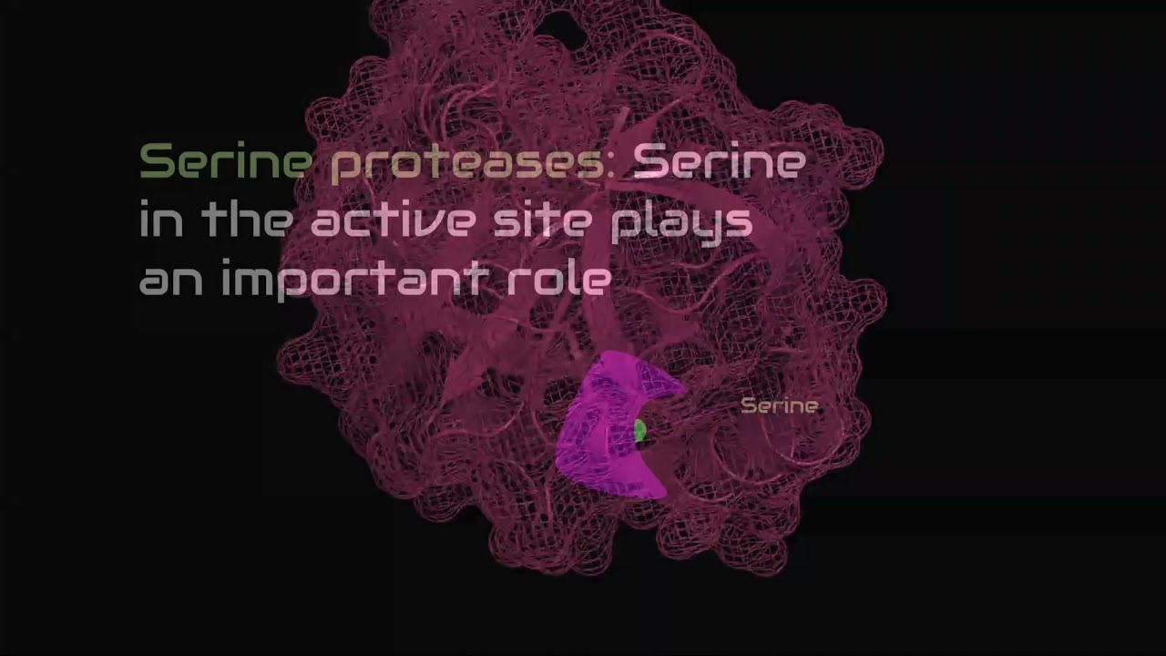 Trypsin Structure | Function | Education | Biochemistry | Basic Science Series