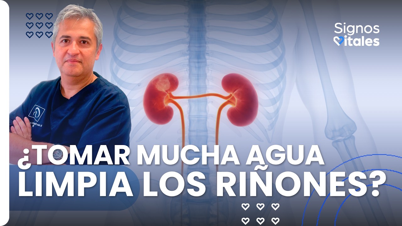 Riñones sanos: mitos, señales de alerta y cómo cuidar la salud renal | Día Mundial del Riñón | Pulzo
