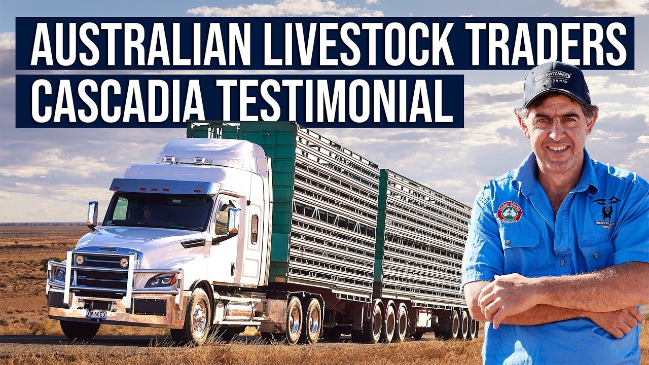 Freightliner Cascadia - Australian Livestock Traders Customer Video