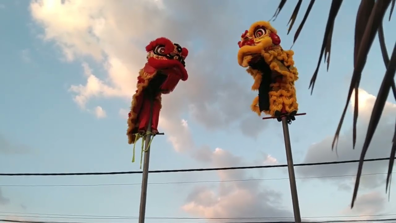 Lễ hội Làm Chay 2023 _ Tầm vu, Châu Thành, Long An
