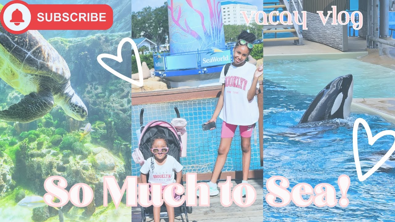 🐬🎉 SeaWorld’s 60th Anniversary Celebration! Rides, Shows & MORE! 🌊✨