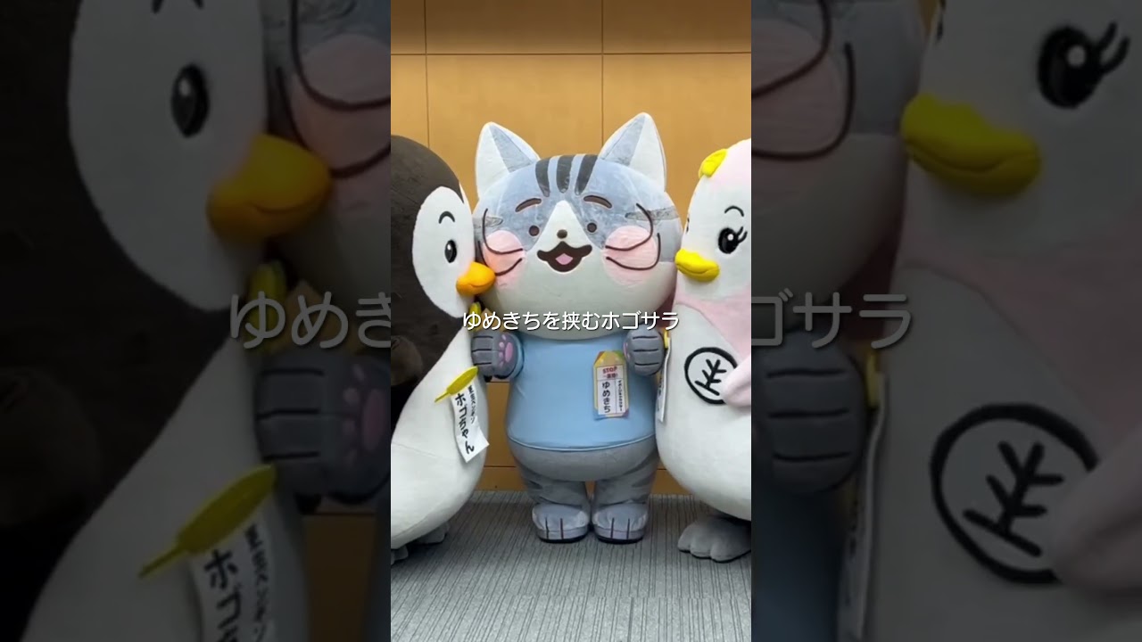 ホゴちゃん全国矯正展へ行く！