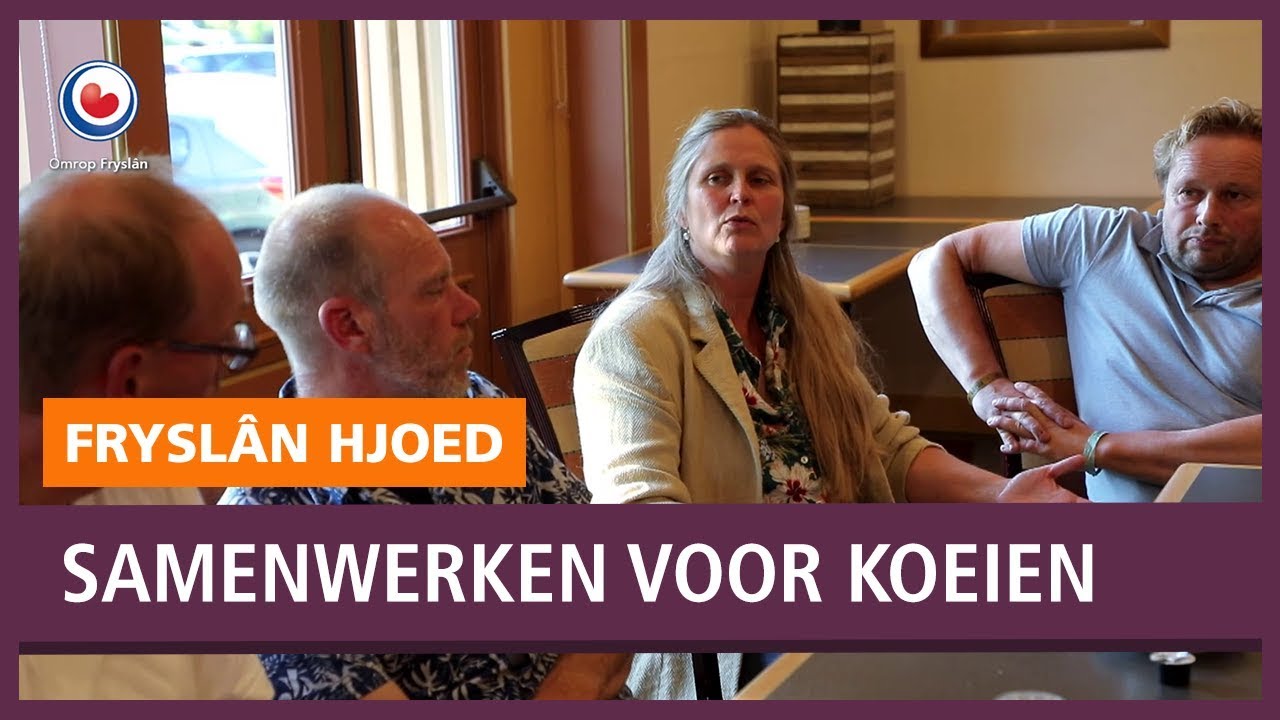 REPO: Boeren moeten samenwerken om Fries roodbonte koeien te redden