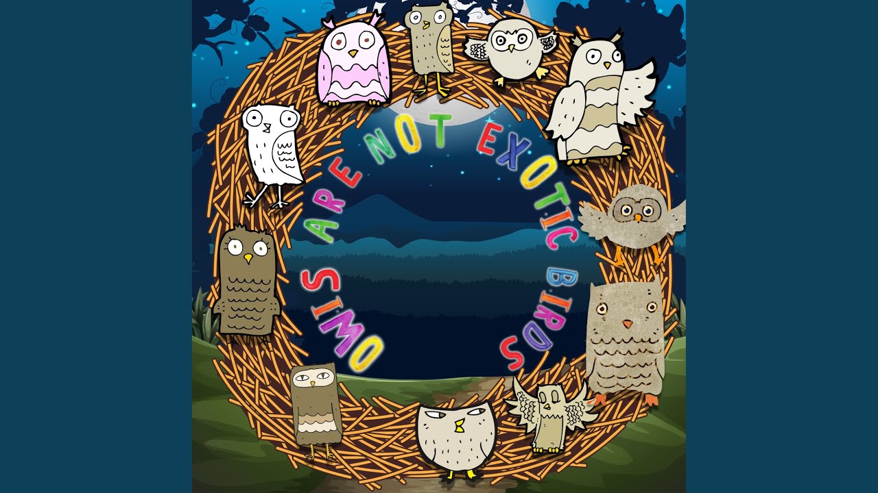 Owls Are Not Exotic Birds