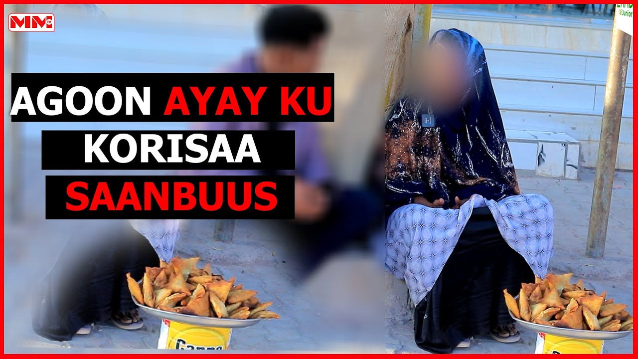 8 caruura oo agoona ayay ku korisaa Saanbuus ay habeen iyo maalin bacadka la Fadhido