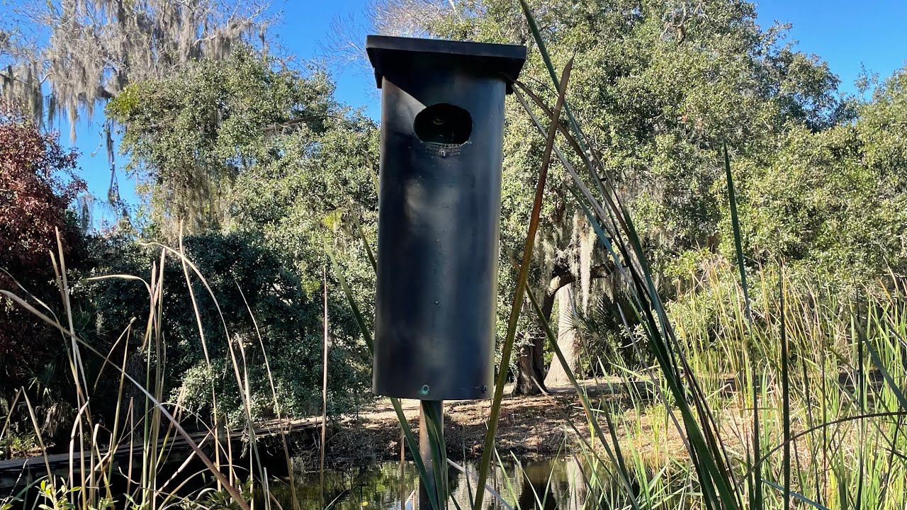 Wood Duck Nest Box