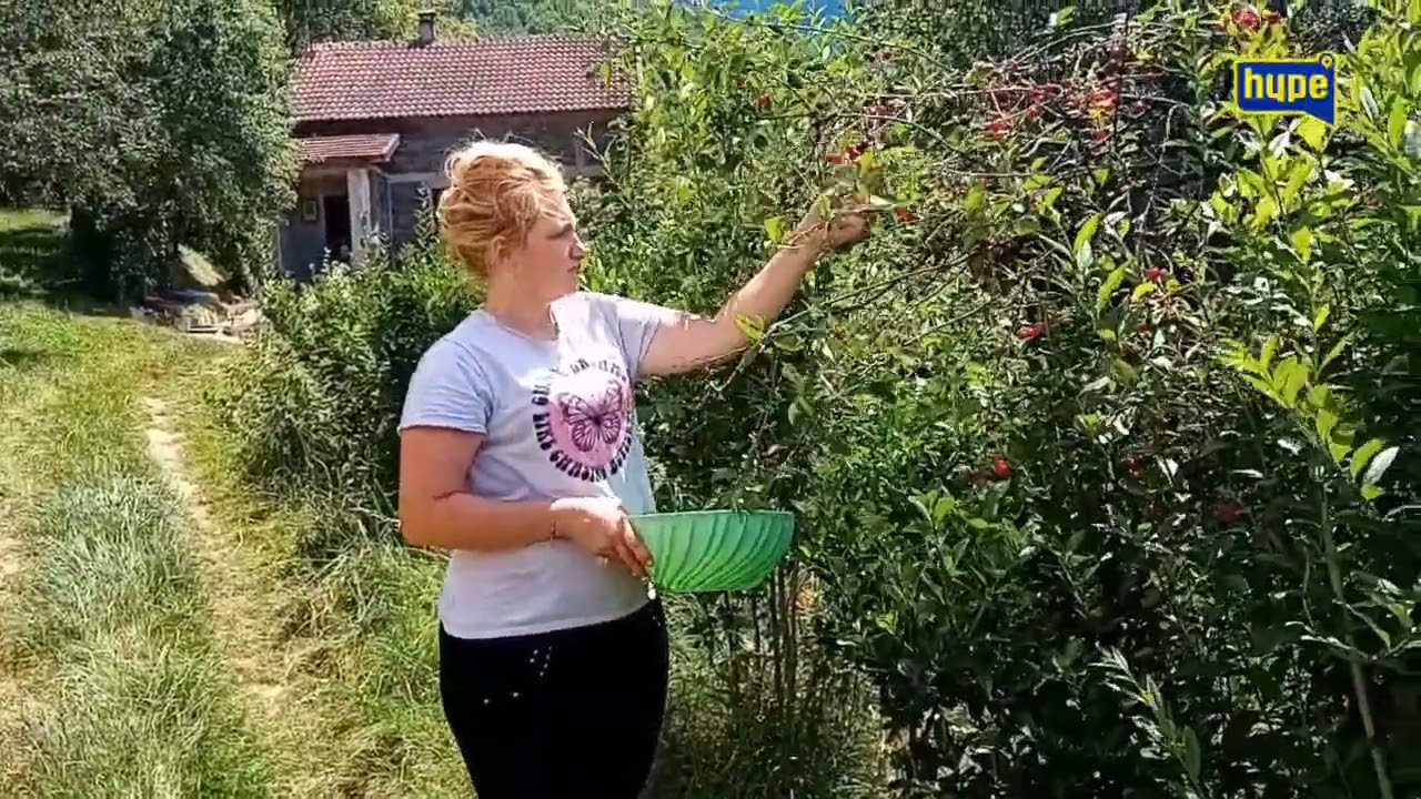 HOĆU OD OVOGA DA MI NAPRAVITE NAJBOLJI DŽEM