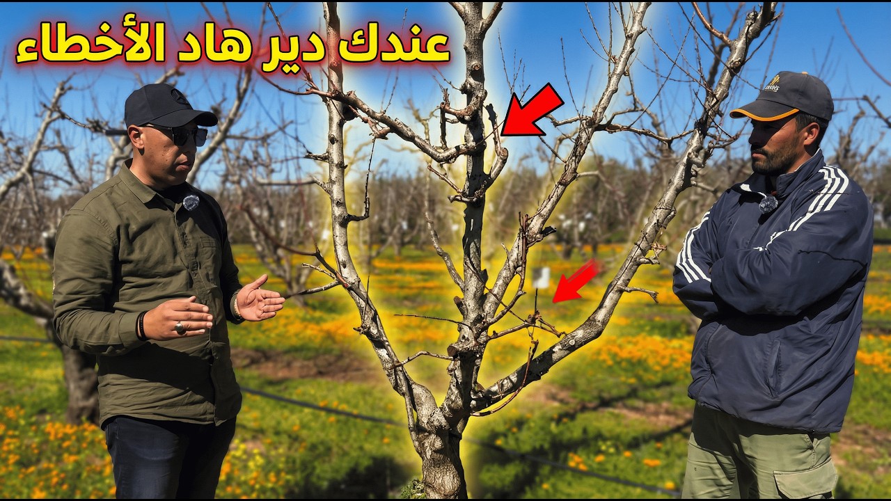 سلسلة التتبع التقني للورديات ذات النواة - الحلقة 2