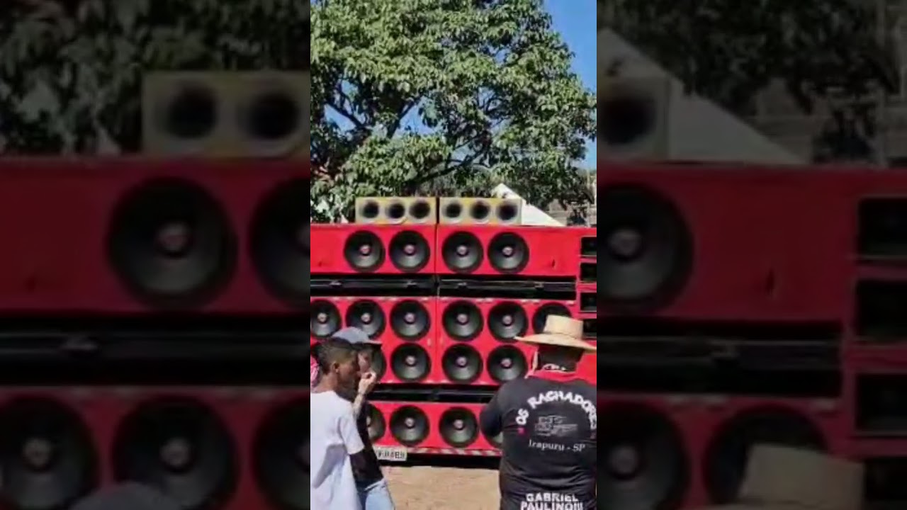 sdf evolution 8k bass 