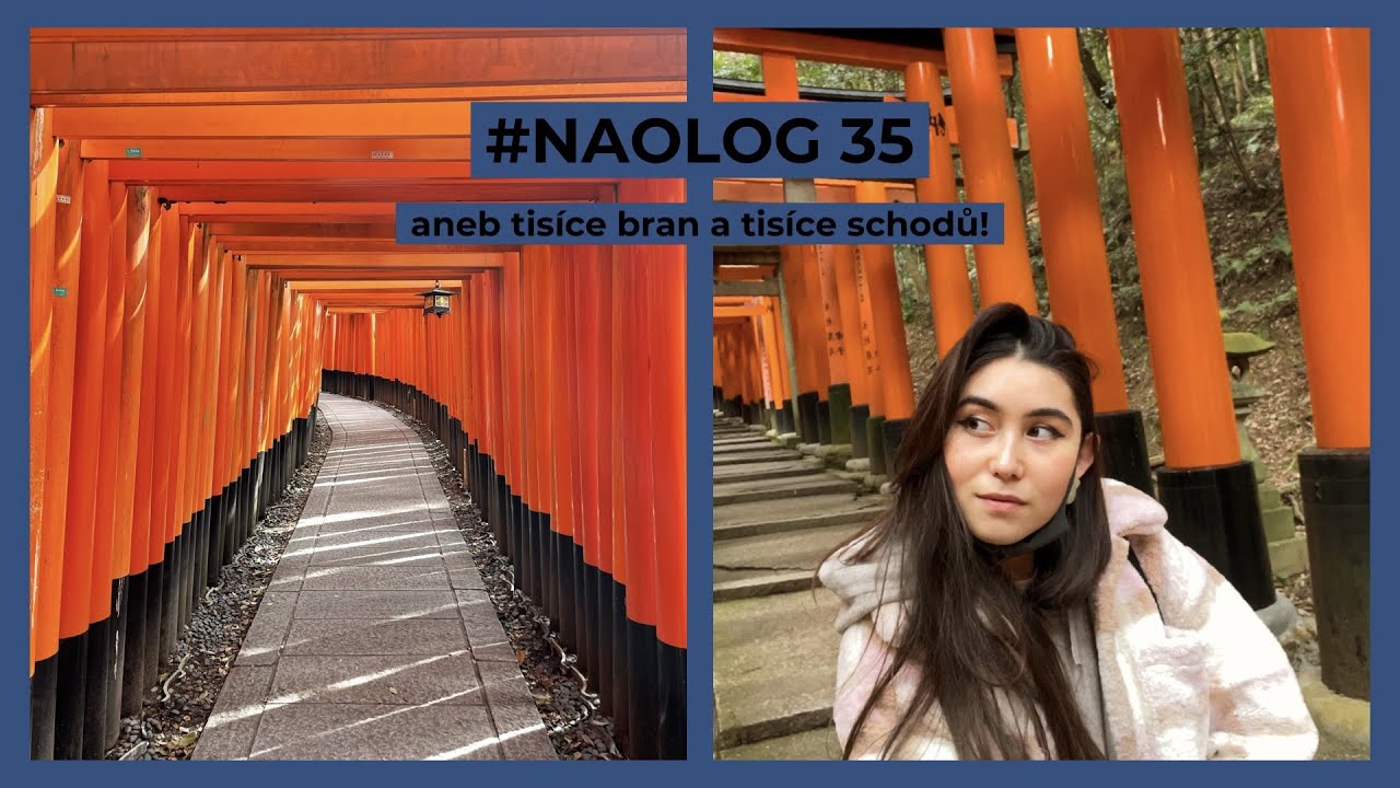 #NAOLOG 35 | Po malých schůdkách k velkému cíli. | FUSHIMI INARI TAISHA